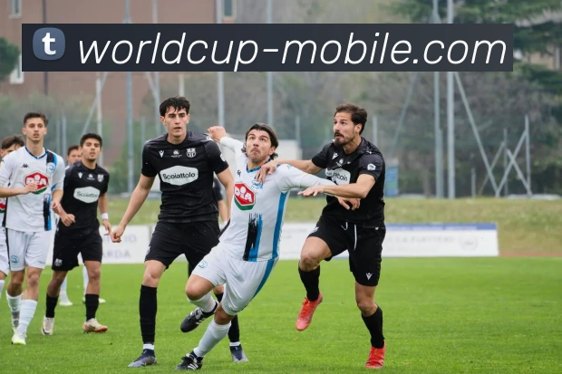 世界杯手机版APP 高清赛事图